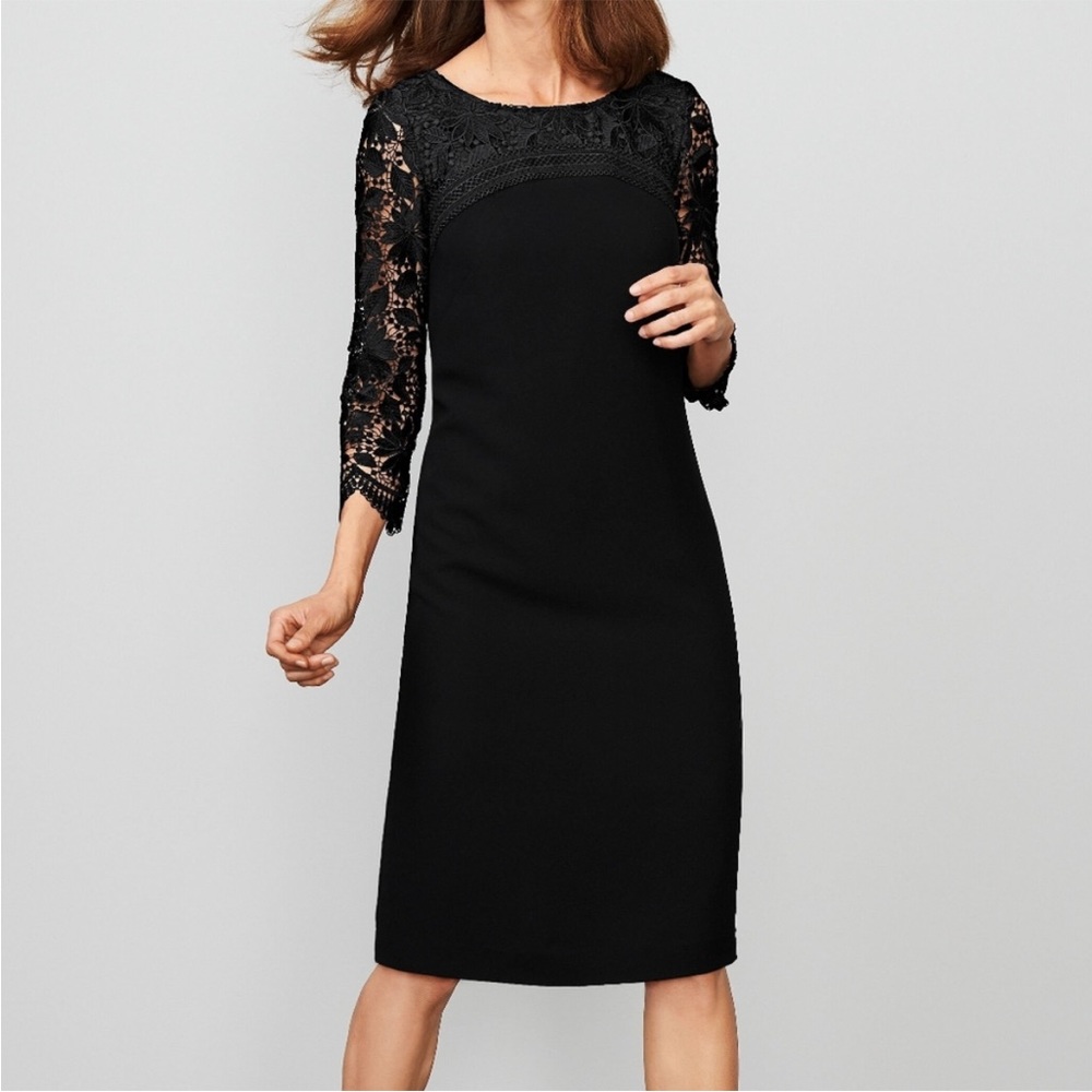 Black Lace Sleeve Sheath Dress